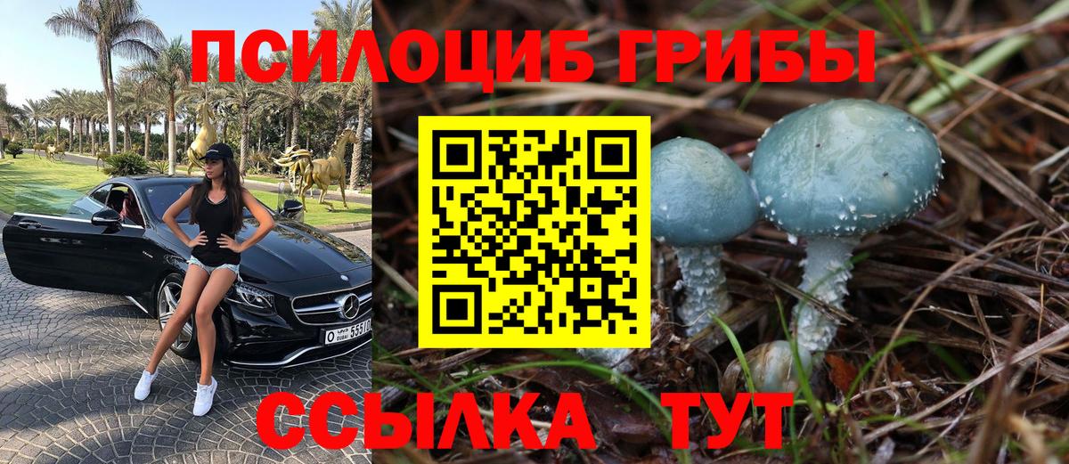 Псилоцибиновые грибы мицелий Ипатово